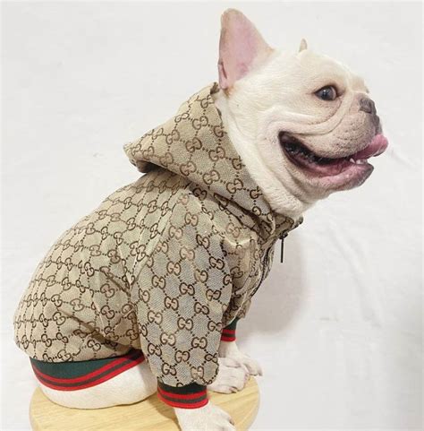 fake designer dog clothes|luxury dog jackets.